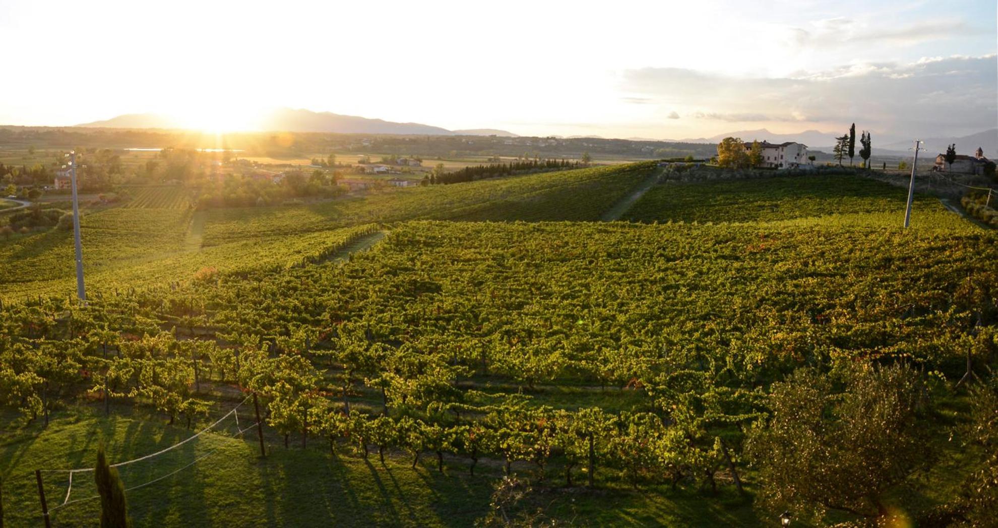 Agriturismo Corte In Poggio Stabbia Eksteriør billede