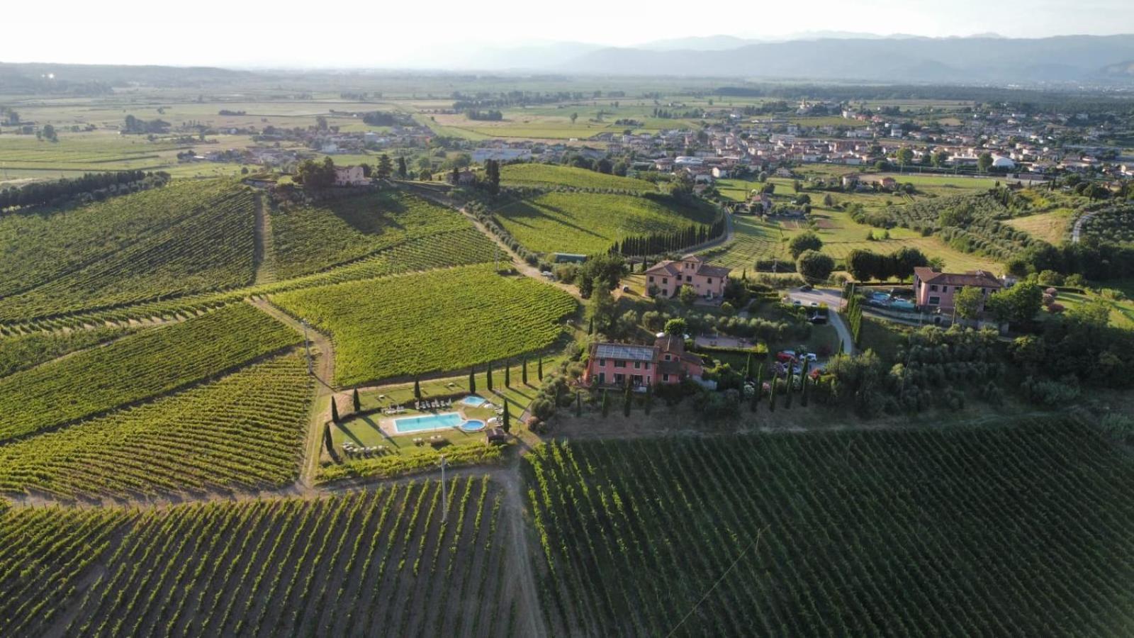 Agriturismo Corte In Poggio Stabbia Eksteriør billede